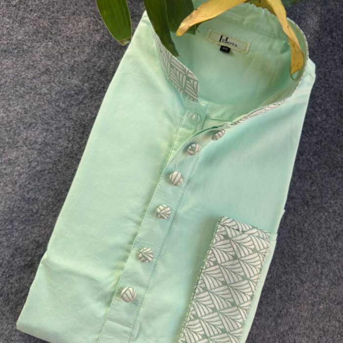 Soft Green Stylish Punjabi