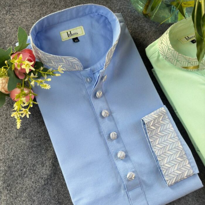 Seablue Stylish Punjabi